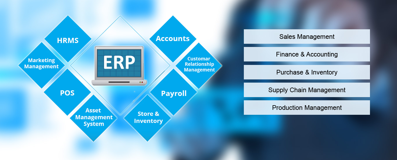 You are currently viewing Introducing ERP Software
