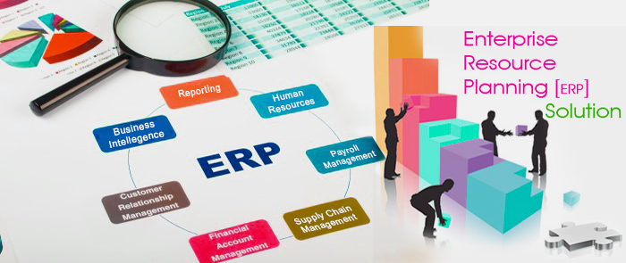 You are currently viewing ERP Software Companies