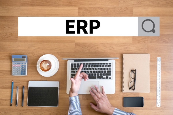 You are currently viewing ERP Accounting Software