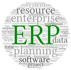 ERP software development company in Noida