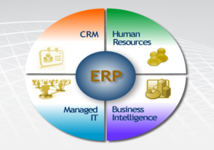 ERP Software Development Software