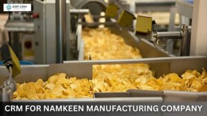 Read more about the article The CRM solution for Namkeen Manufacturing Company
