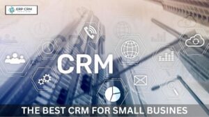 Read more about the article How to Leverage CRM for Small Business Growth