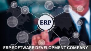 Read more about the article How to Choose the Right ERP Software Development Company