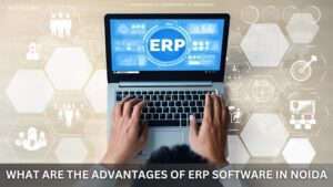 Read more about the article What Are the Advantages of ERP Software in Noida?