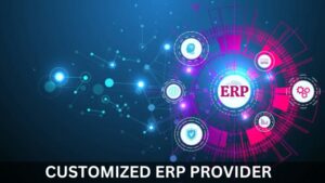Read more about the article How to Choose the Right Customized ERP Provider for Your Business?