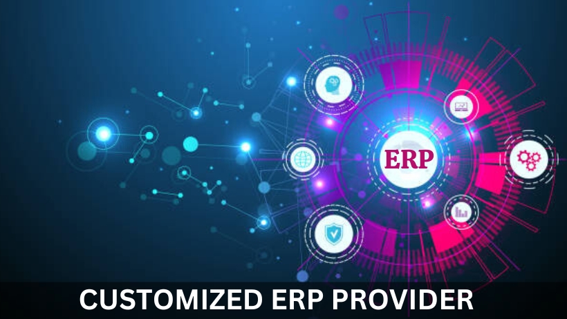 You are currently viewing How to Choose the Right Customized ERP Provider for Your Business?